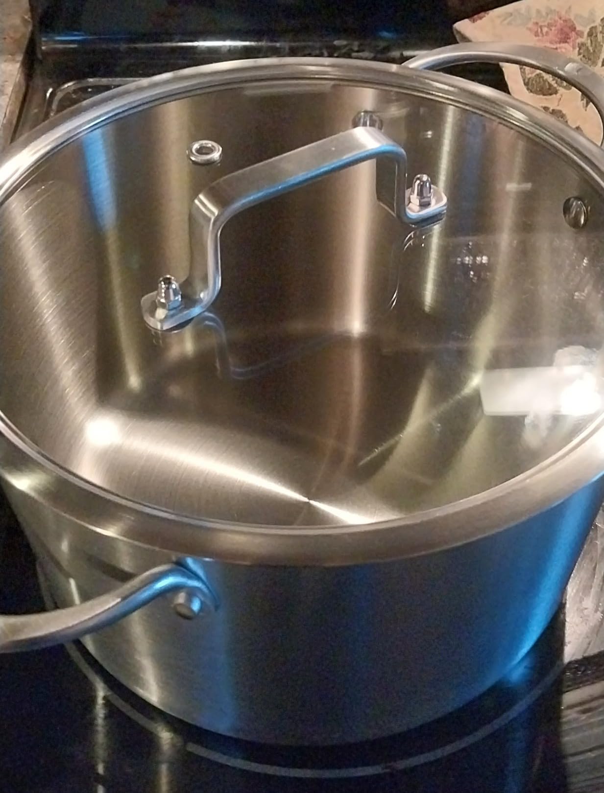 LOLYKITCH 5-Quart Tri-Ply Stainless Steel Steamer Pot with Glass Lid | Steaming Pot for Cooking | 2 Tier Induction Steamer Pot for Tamales Seafood Vegetables Dumplings | Stock Pot | Thick customer photo 2