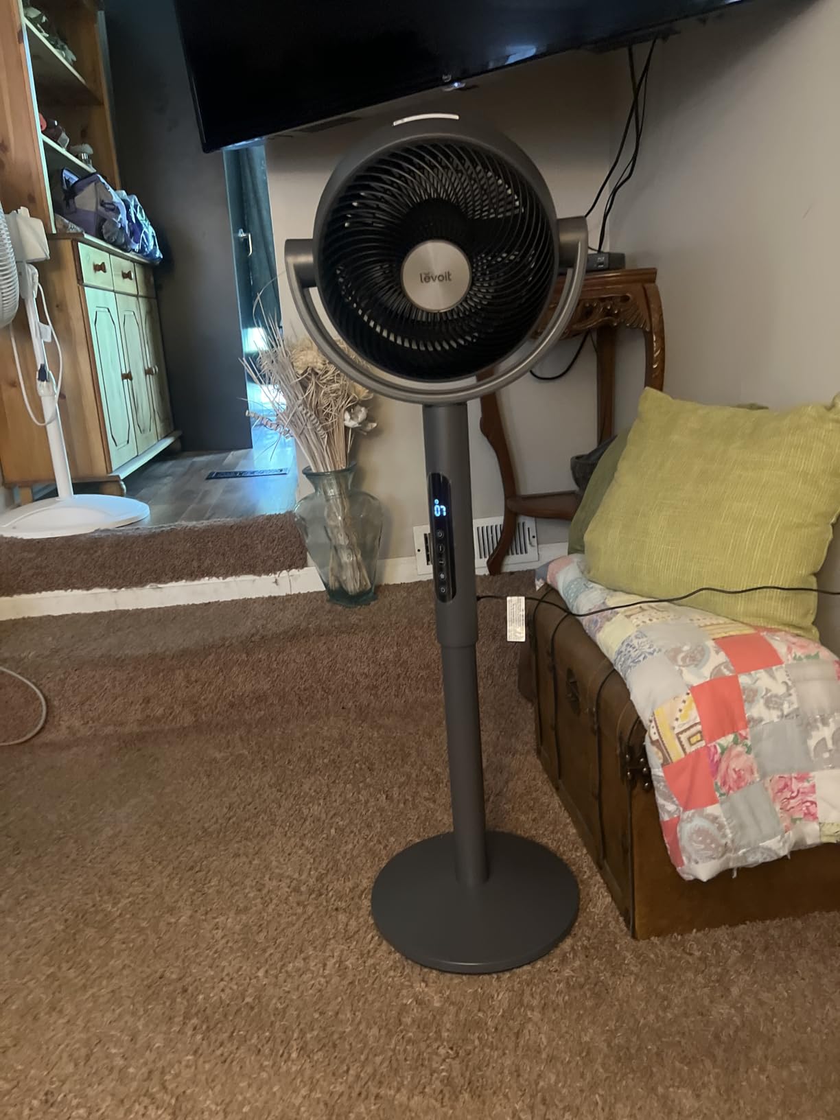 Levoit Standing Fan for Bedroom, 120° Oscillating Fan, 20dB quiet for Sleep | 908CFM Airflow, 9 Speeds 4 Modes, DC Motor Floor fan, 2-in-1 Pedestal & Tabletop, 9H Timer, Remote Control, for Home, Room customer photo 2