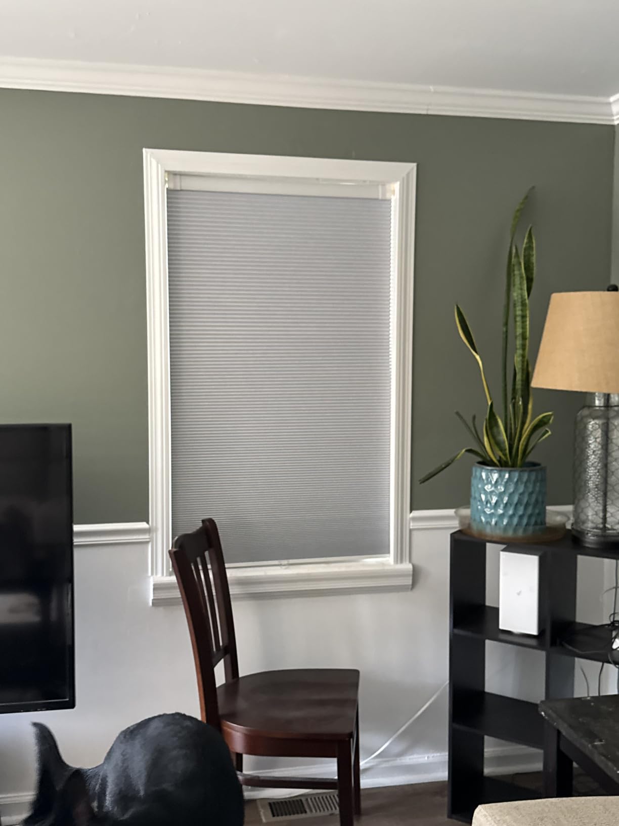 LazBlinds No Drill Cordless Cellular Shades, 34