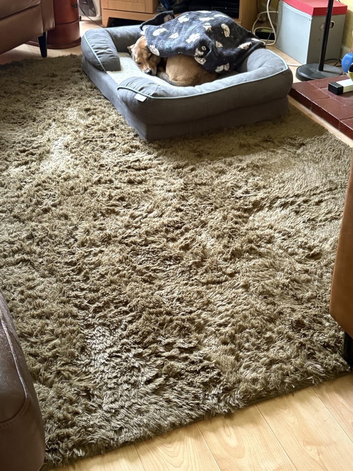 OLANLY Area Rugs for Living Room Bedroom, Machine Washable 4x5.9 ft Soft Fluffy Shaggy Bedside Rug, Indoor Floor Carpet for Kids Girls and Boys, Dorms, Nursery Rooms, Home Decor Aesthetic, Grey customer photo 2