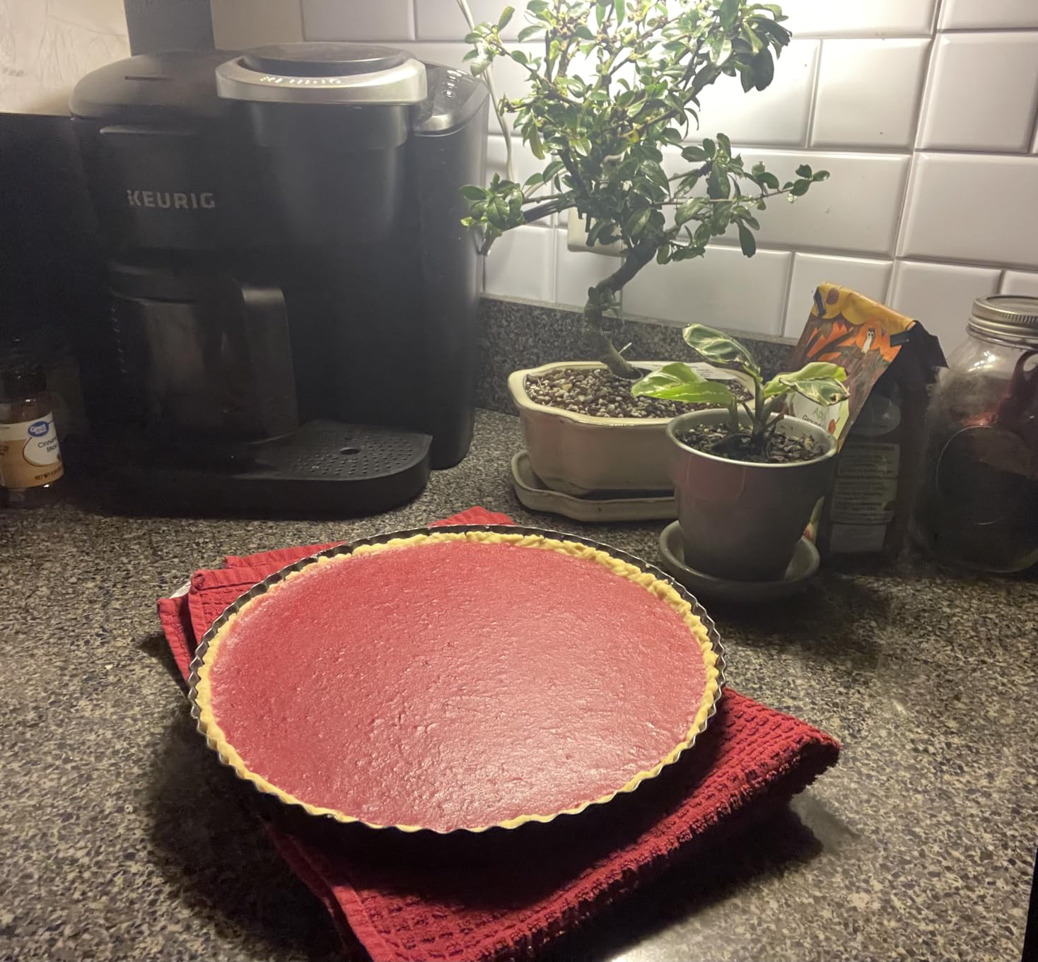 DATANYA Tart Pan 9 Inch Tart Pans Removable Bottom, Non-Stick Quiche Pan Carbon Steel Heavy Duty Pie Pan 9 Inch Tart Pan Loose Bottom, extra high of 1.2 Inches customer photo 1