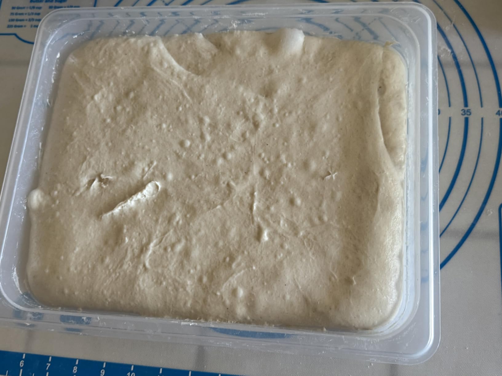 Brod & Taylor Proofing Container With 6L Capacity, Fits Up to 3000 Grams of Dough - Dough Rising Box for Bread, Sourdough & Pizza (Dishwasher Safe, BPA-Free) customer photo 2