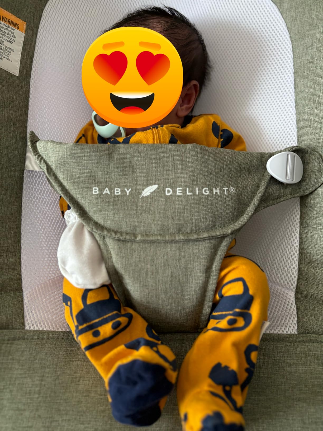 Baby Delight Highland Baby Bouncer | Infant | 0 - 6 Months | 3-Position Recline | Sage Tweed customer photo 1