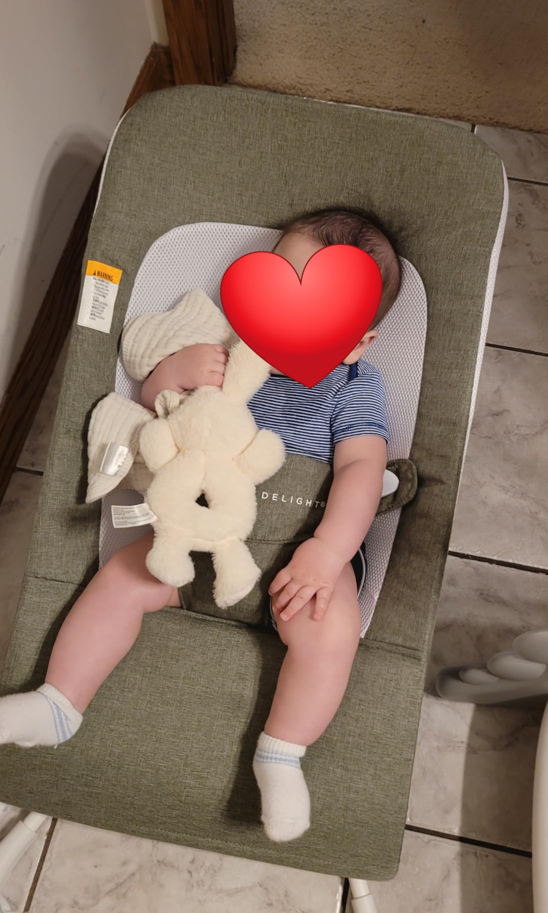 Baby Delight Highland Baby Bouncer | Infant | 0 - 6 Months | 3-Position Recline | Sage Tweed customer photo 2