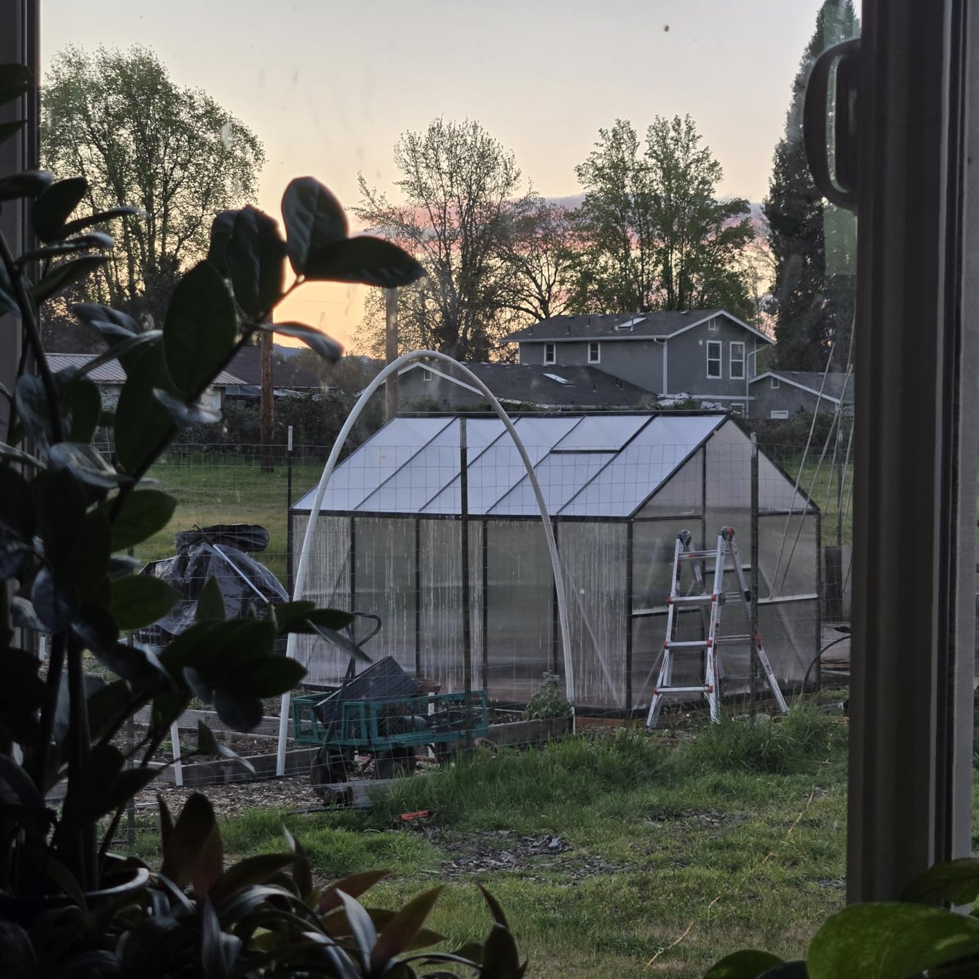 6x4FT Greenhouse with Hygrometer, Windproof Warm Plant Green Houses, Heavy Duty Aluminum Frame Polycarbonate Greenhouses with Vent Window for Backyard Garden Vegetables Flowers Herbs Growing customer photo 1