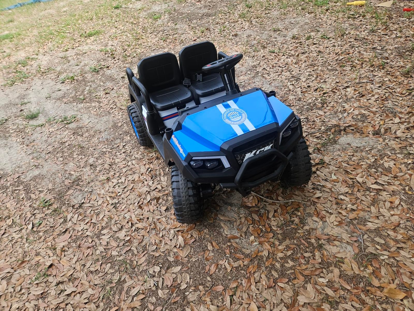 LIGIANT 24V Ride on Car for Big Kids, 4-Seaters Kids Golf Cart | Max. Cap: 264 Lbs(4 Kids), 4WD Kid's Car w/Remote Control, Detachable Awning, Spring Suspension, Music/Story/Power Display customer photo 1