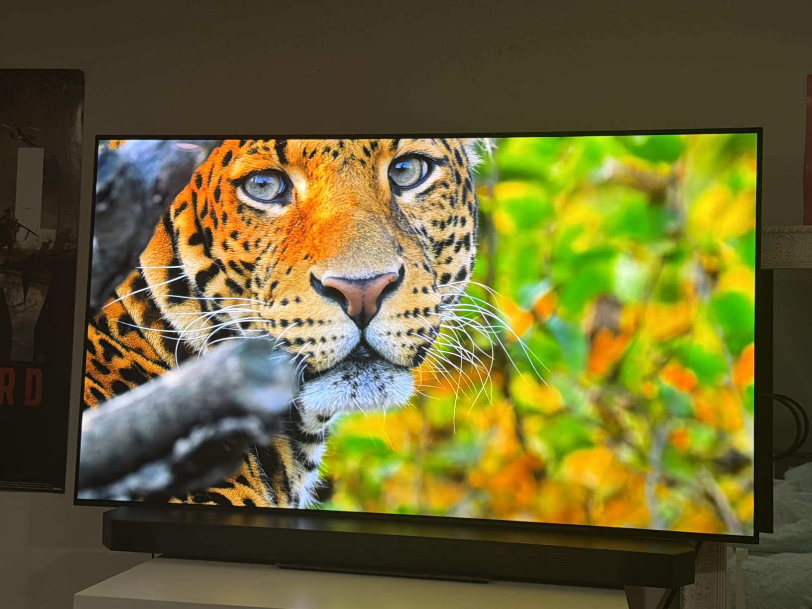 Samsung 65-Inch Class OLED S90F 4K Smart TV (2025 Model) NQ4 AI Gen3 Processor, Upscaling Pro, HDR+, Motion Xcelerator 144Hz, Vision Alexa Built-in customer photo 2