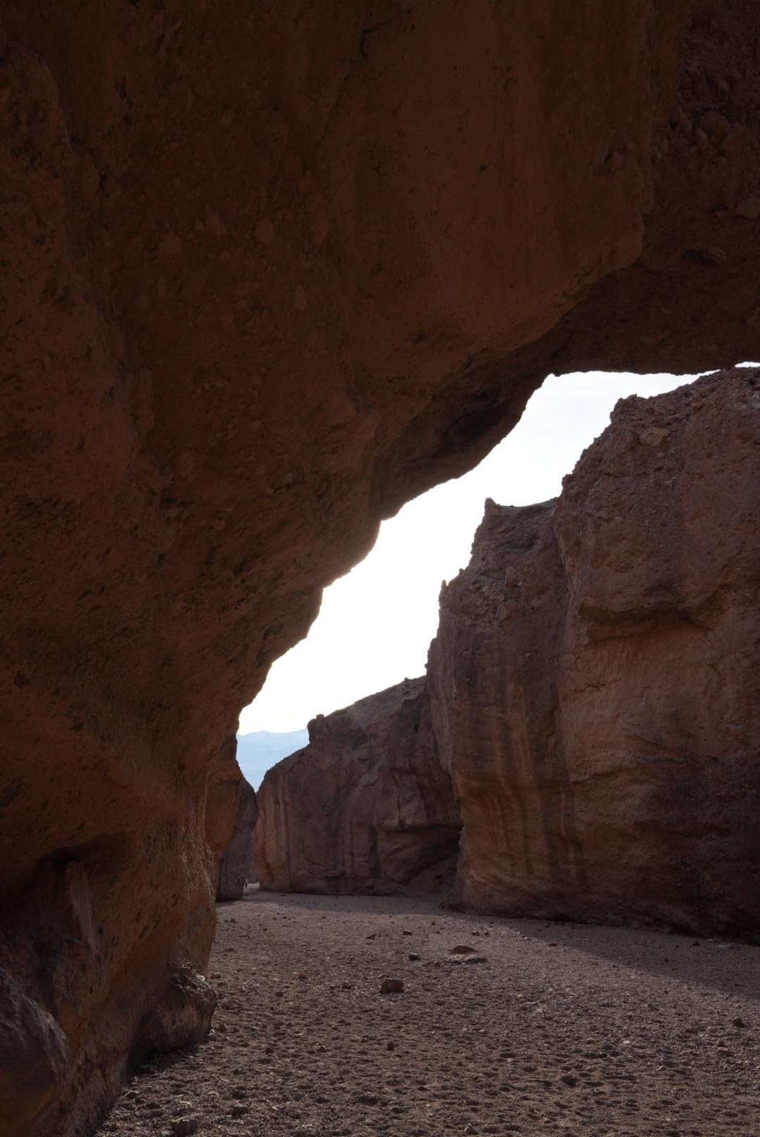 FE 16mm f/1.8 G, Black | 304 g (10.8 oz.) Dust and Moisture Resistant Structure Minimal customer photo 2