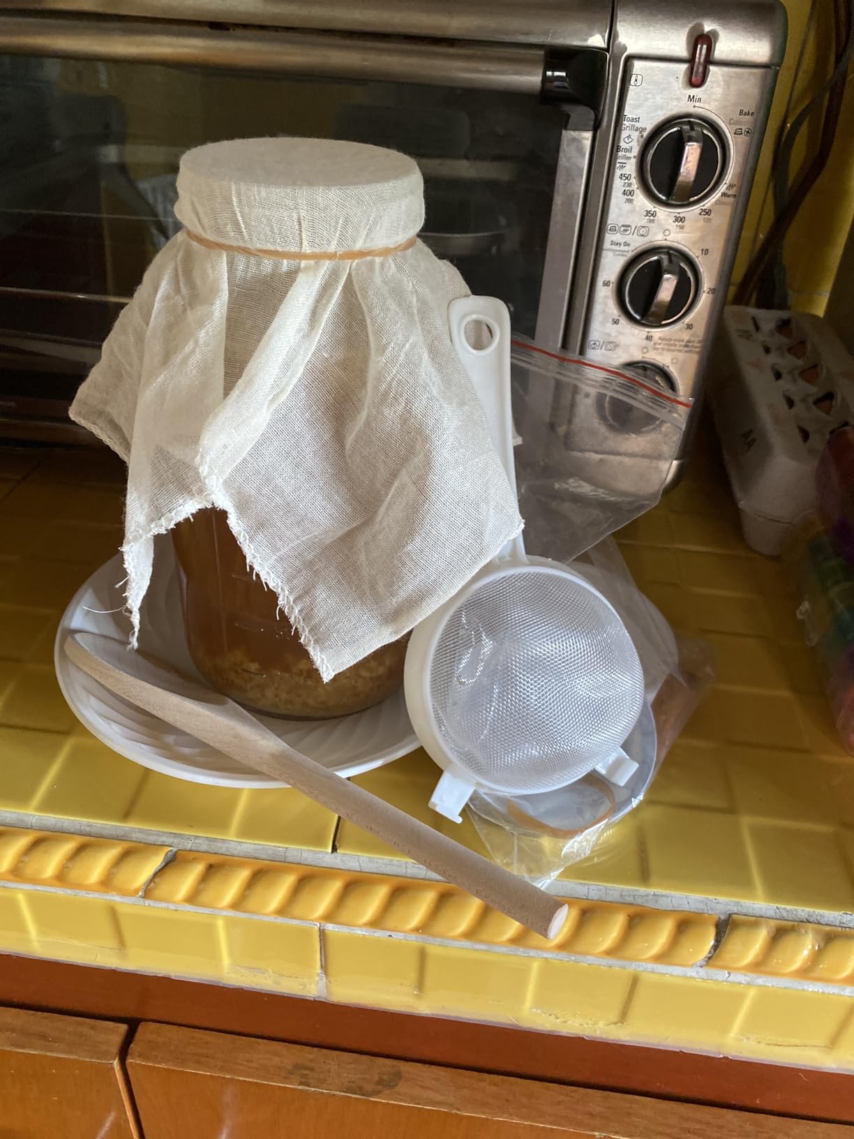Honeydak 8 Pcs Kefir Jar Kit, 64 oz Wide Mouth with Strainer, Regular | Milk Kefir Fermentation Jar customer photo 1