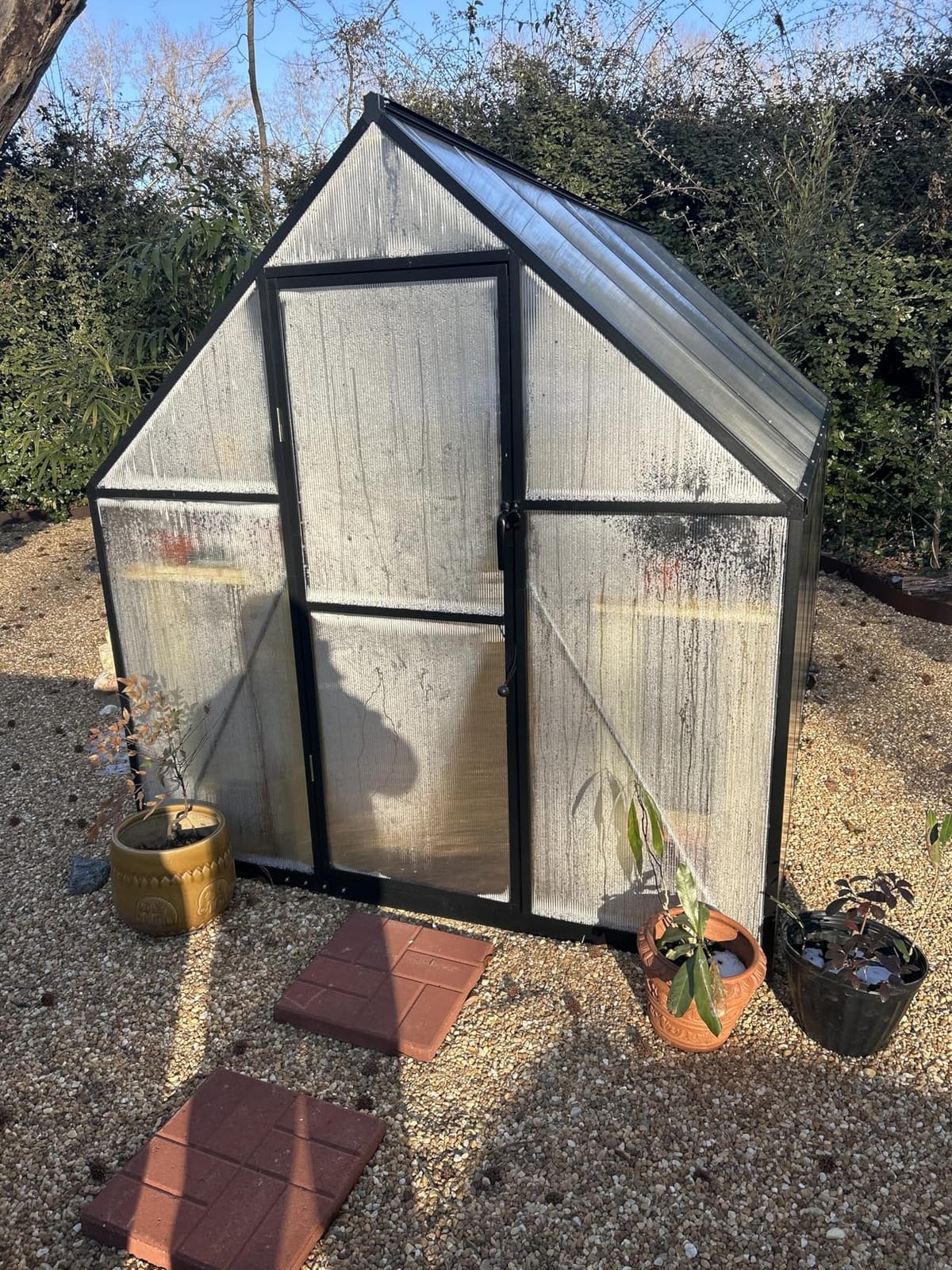 6x8 FT Greenhouse for Outdoors, Polycarbonate Greenhouse with Roof Vent, Enhanced Aluminum Large Walk-in Green House for Garden Backyard customer photo 1