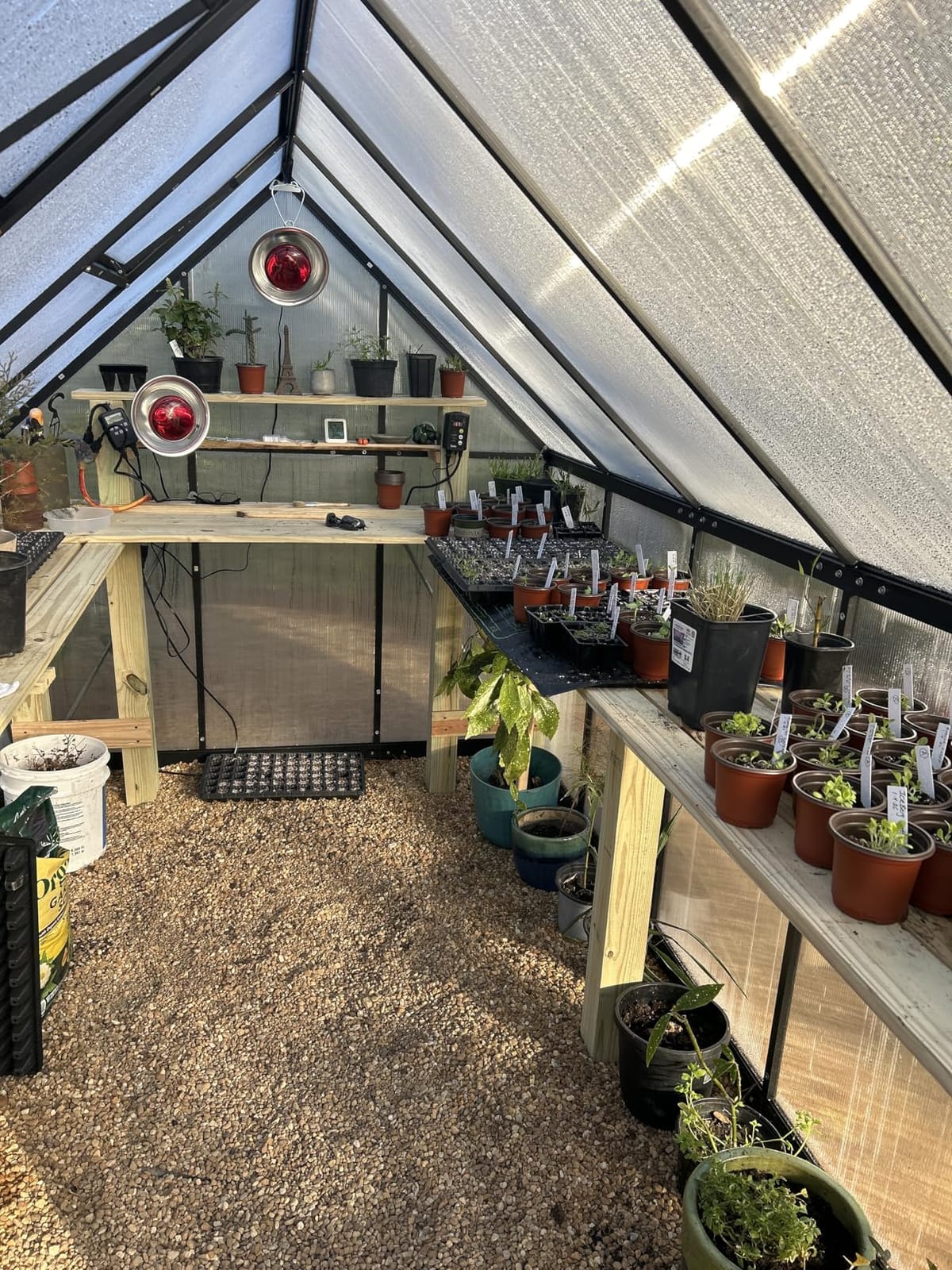 6x8 FT Greenhouse for Outdoors, Polycarbonate Greenhouse with Roof Vent, Enhanced Aluminum Large Walk-in Green House for Garden Backyard customer photo 2