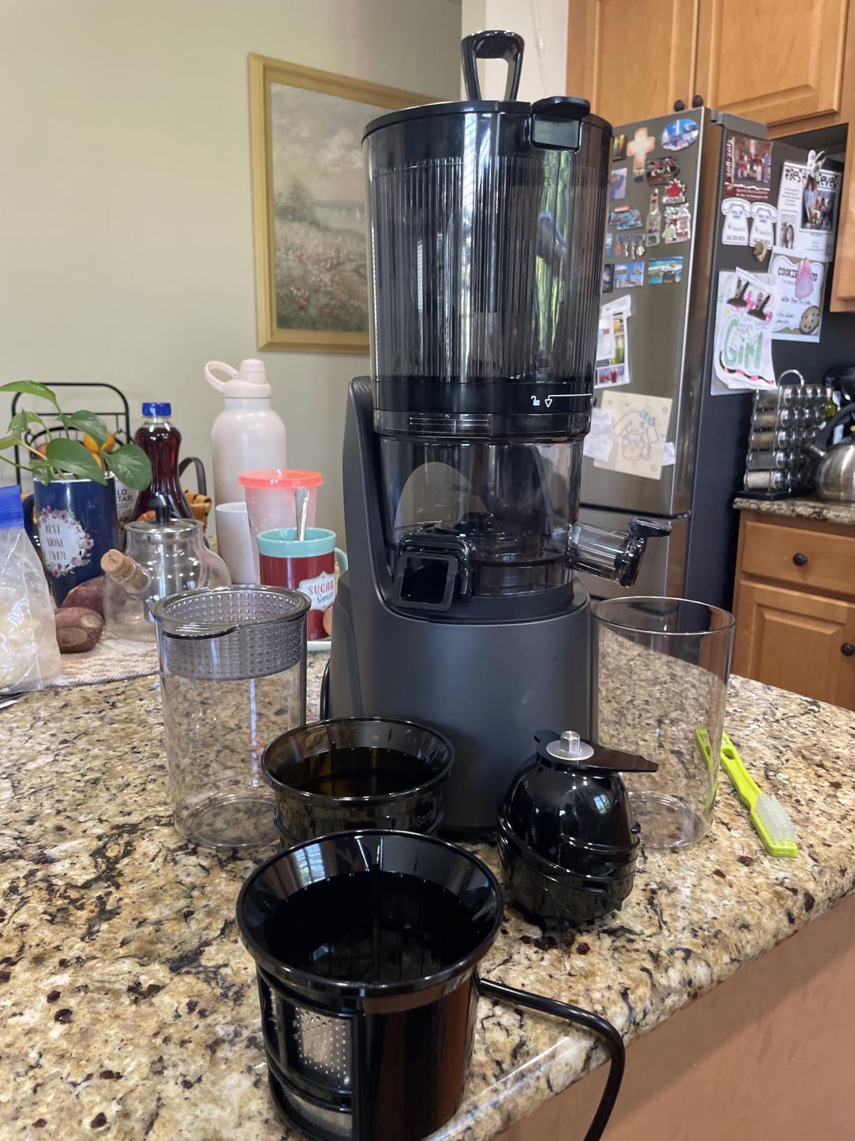 Canoly 3-in-1 Cold Press Juicer C16, Makes Juice & Sorbet & Nut Milk | 6