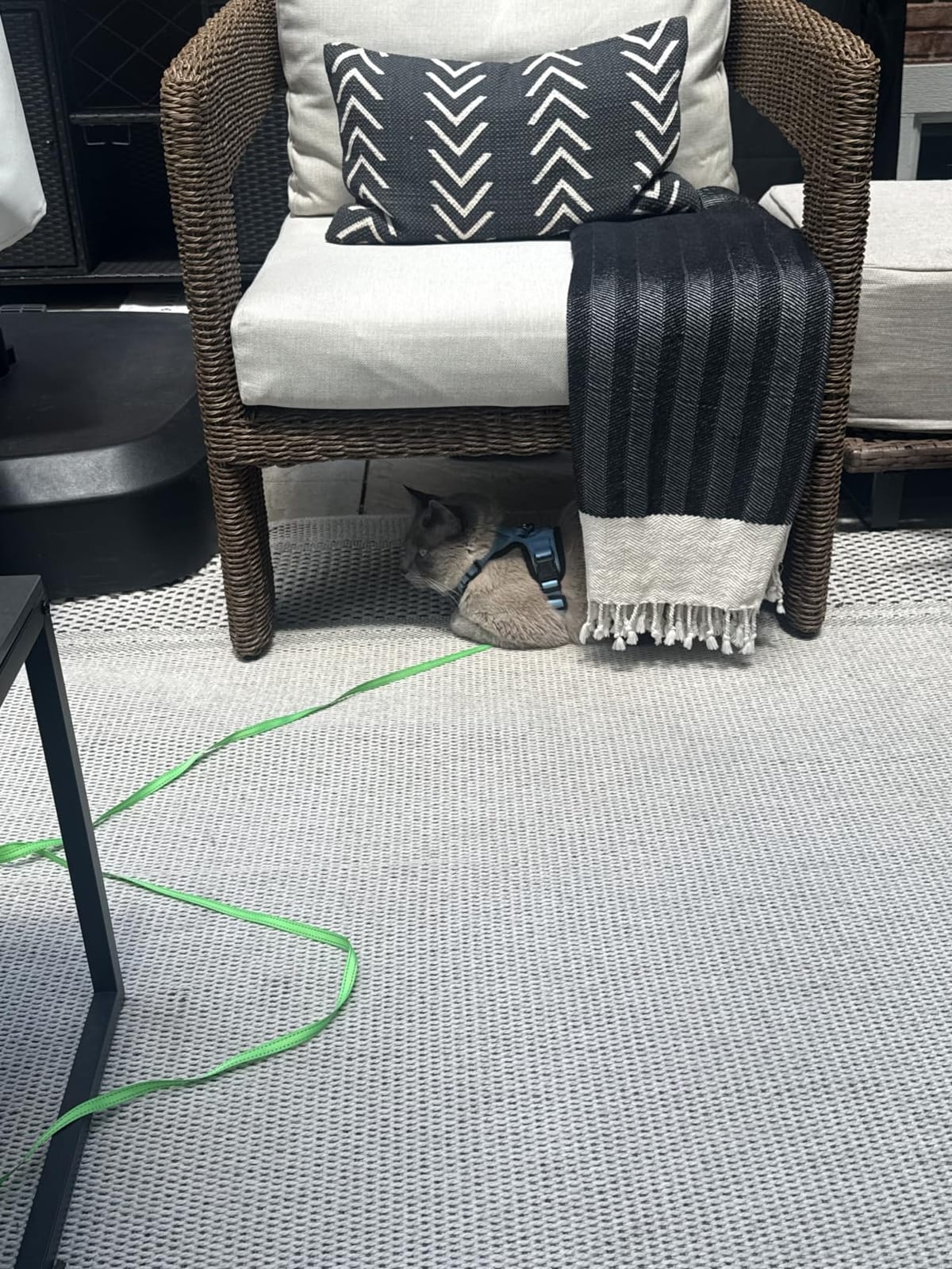 Easy Jute Rug 10x14, Indoor Outdoor Natural Color Fiber Area Rugs for Living Room Patio and Kitchen Rug, Sisal Boho Woven Design, Easy-Cleaning, Washable Outside Carpet customer photo 2