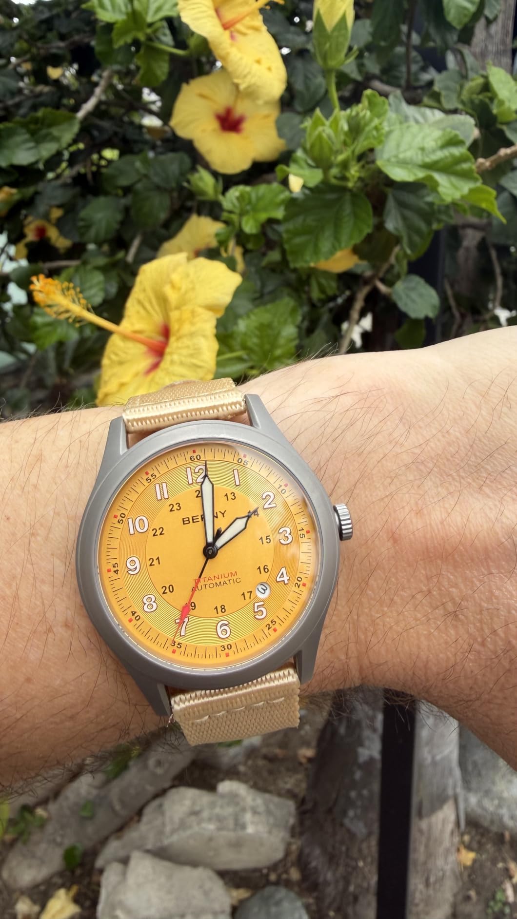 BERNY Titanium Automatic Watch, 10ATM Waterproof Men's Military Field Watch | Super Luminous, AR Scratch-Resistant Sapphire, Date Calendar, Miyota 8215 Mechanical Movement, Ideal Birthday Present customer photo 2