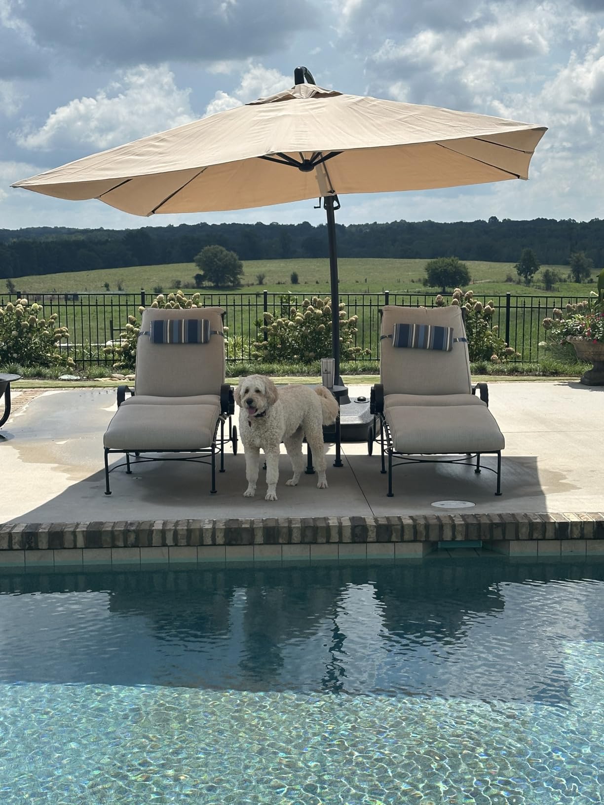 Grand patio 10x13 FT Large Cantilever Umbrella with Base & Cover, Champagne customer photo 1