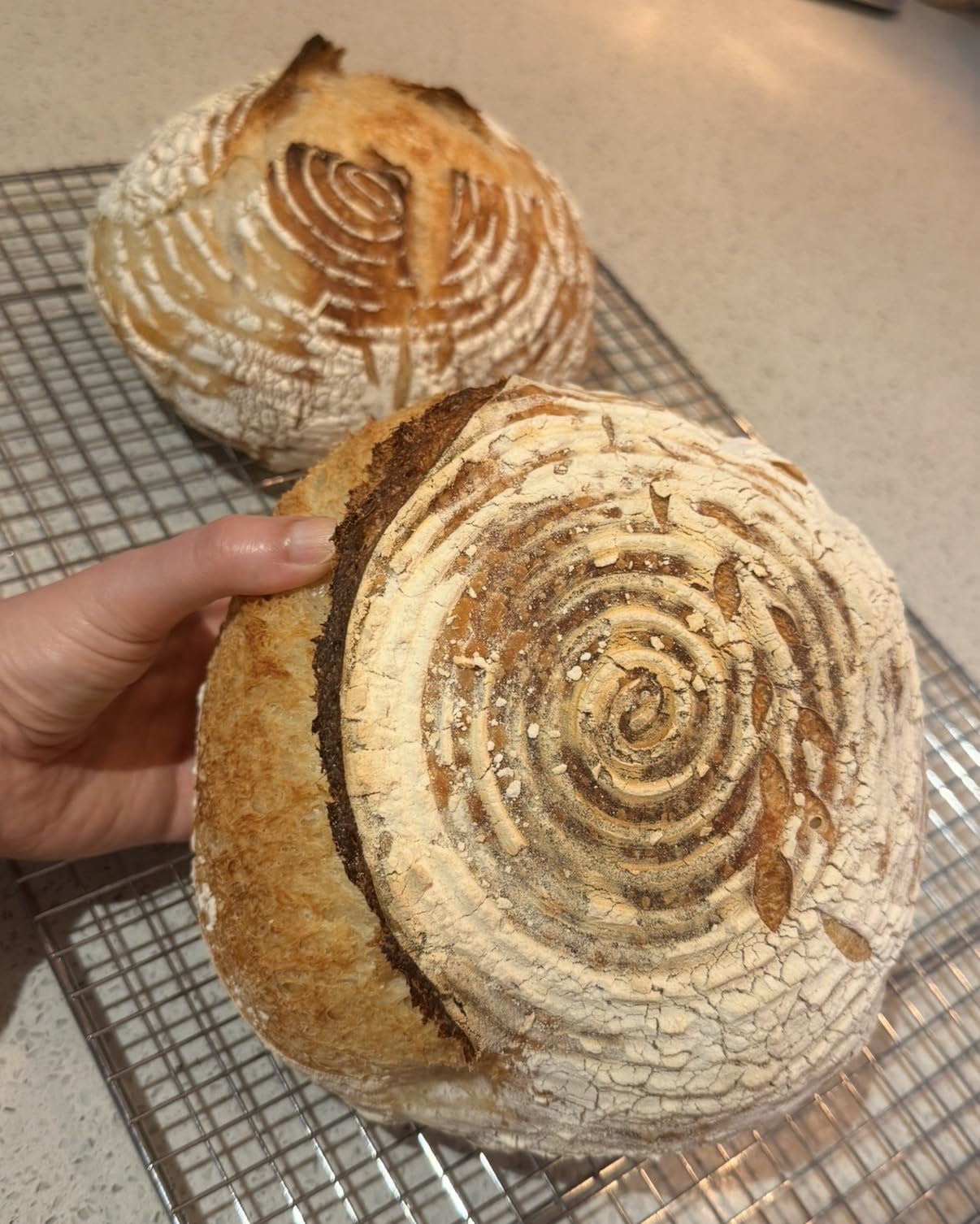 Superbaking Sourdough Banneton Bread Proofing Basket, 9
