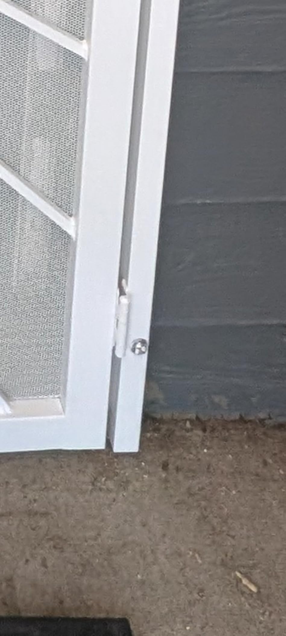 JUBEST 32 in. x 80 in. Security Door, Surface Mount Exterior Front Entry Door, Outswing Steel Security Door with Perforated Metal Screen, Powder Coated White, Lock Not Include customer photo 2