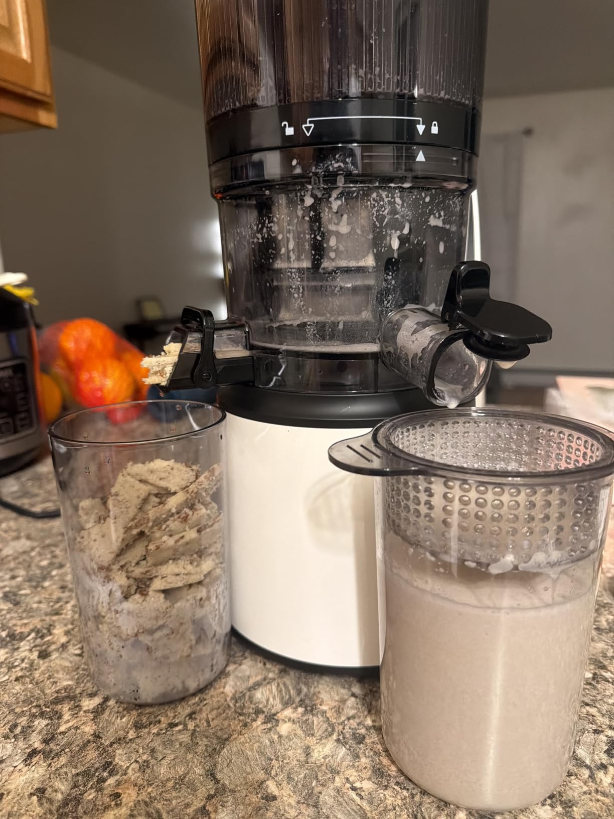 EanOruus Juicer Machines, 3-in-1 Cold Press Juicer, Premium Gray | Makes Juice, Nut Milk & Sorbet, 6.5