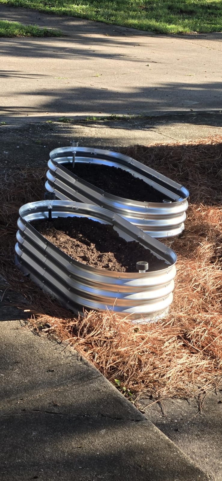 Galvanized Raised Garden Bed Outdoor, 4x2x1ft(2Pack) Metal Heavy Duty Planter Boxes for Gardening, Easy Assemble Bottomless Small Oval Plant Container Kit for Vegetable, Flower, Fruit, Silver customer photo 1