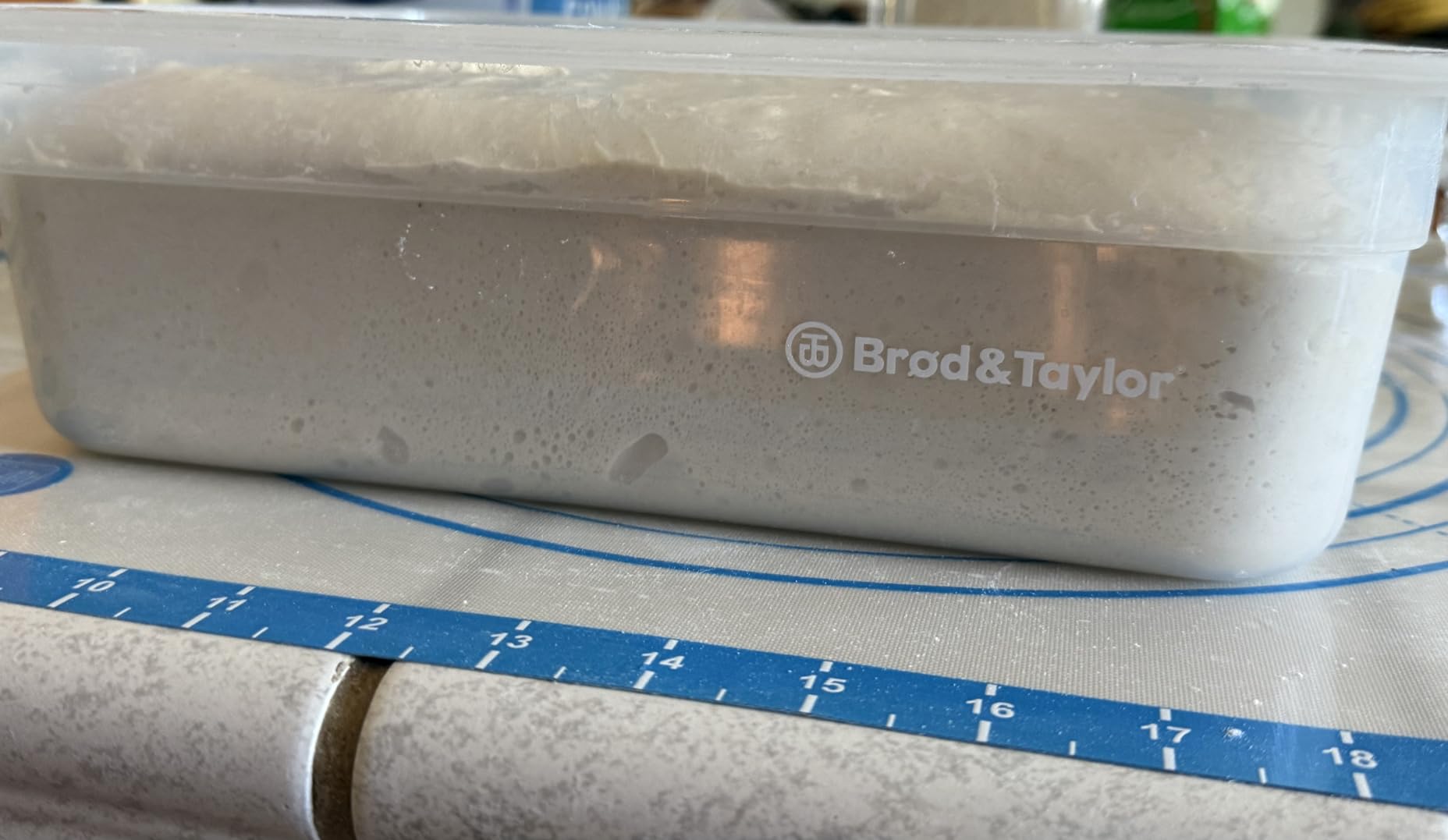 Brod & Taylor Proofing Container (2 Pack) With 6L Capacity, Fits Up to 3000 Grams of Dough - Dough Rising Box for Bread, Sourdough & Pizza customer photo 2