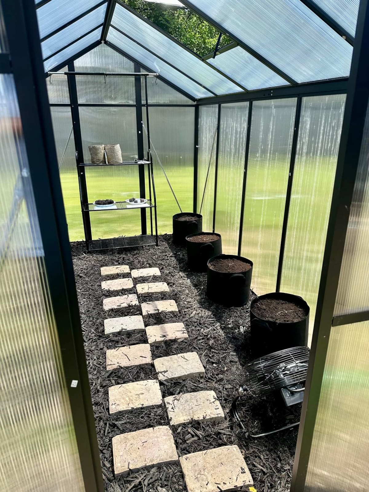 6x10 FT Greenhouse, Easy Assembly Aluminum Polycarbonate Greenhouses for Outdoors with Roof Vent, Large Aluminum Walk-in Greenhouse for Sunroom Patio, Backyard, Garden, Sliding Lockable Door, Black customer photo 2
