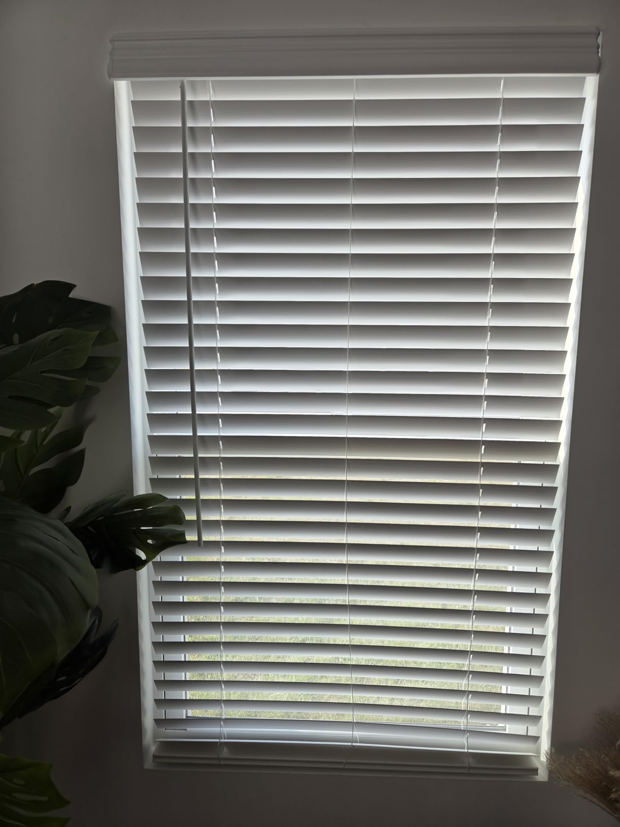 AOSKY 2 Inch Cordless Faux Wood Blind, 2