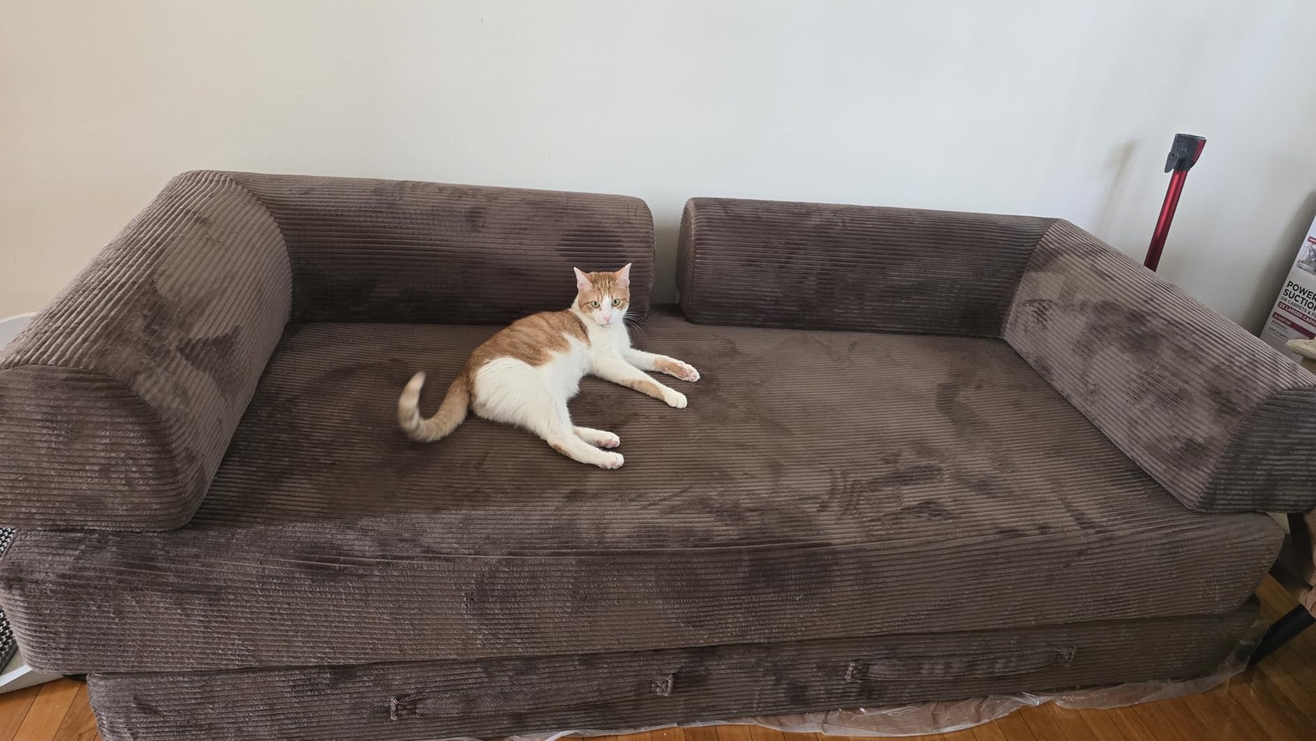 75'' Convertible Sofa Couch Bed Queen, Foldable Boneless Couch Sleeper Sofa | 4-in-1 Pull Out Futon Mattress Floor Couch with Large Pillow, No Assembly for Living Room/Bedroom, Chenille, Beige customer photo 2