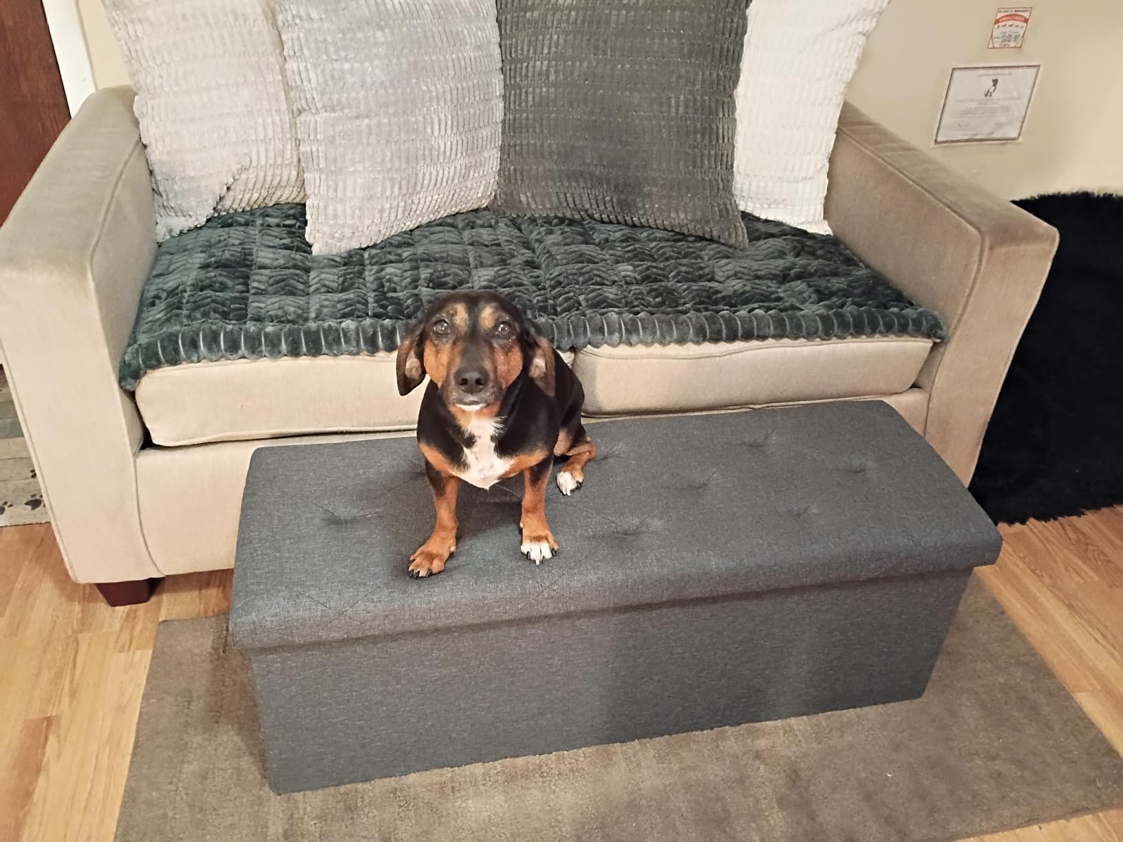 DUMOS 43 Inch Folding Storage Ottoman Bench, Large Hidden Storage Chest with Thicker Foam Padded Seat, End of Bed Foot Rest Stool for Bedroom Living Room Entryway, Load 660 lbs, Grey customer photo 2