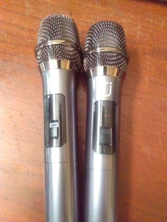 HWWR Karaoke Machine with 2 Mics for Adults & Kids, All-in-One Karaoke Set customer photo 2
