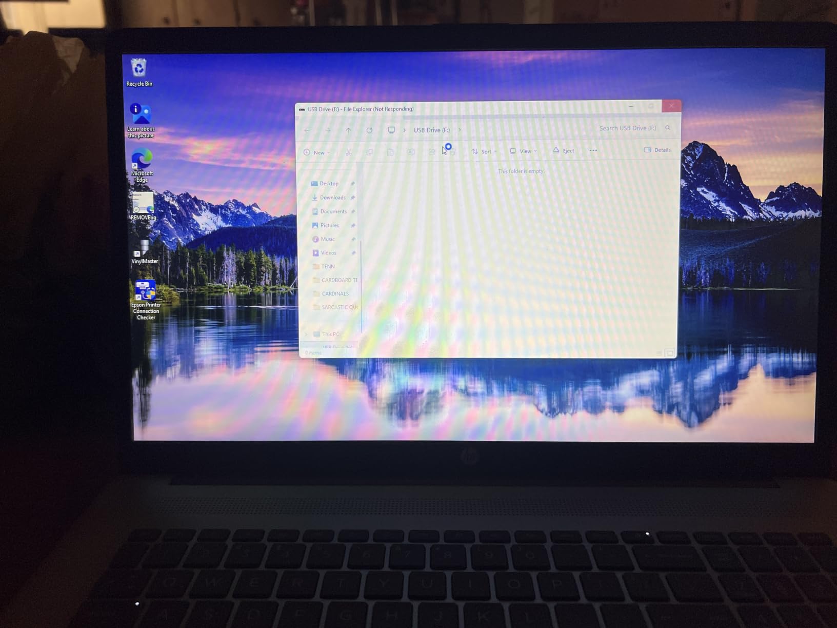 HP 17.3