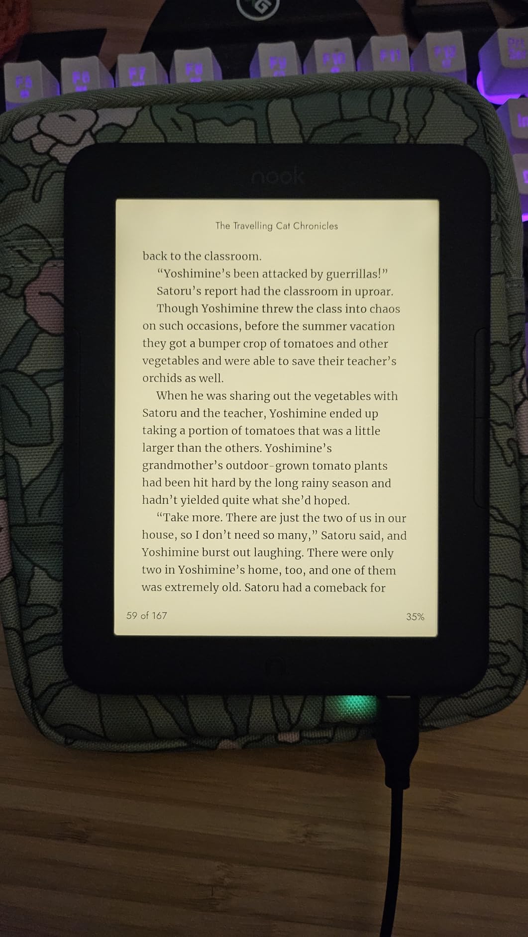 Barnes & Noble Nook Glowlight 4 eReader 6