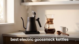 best electric gooseneck kettles