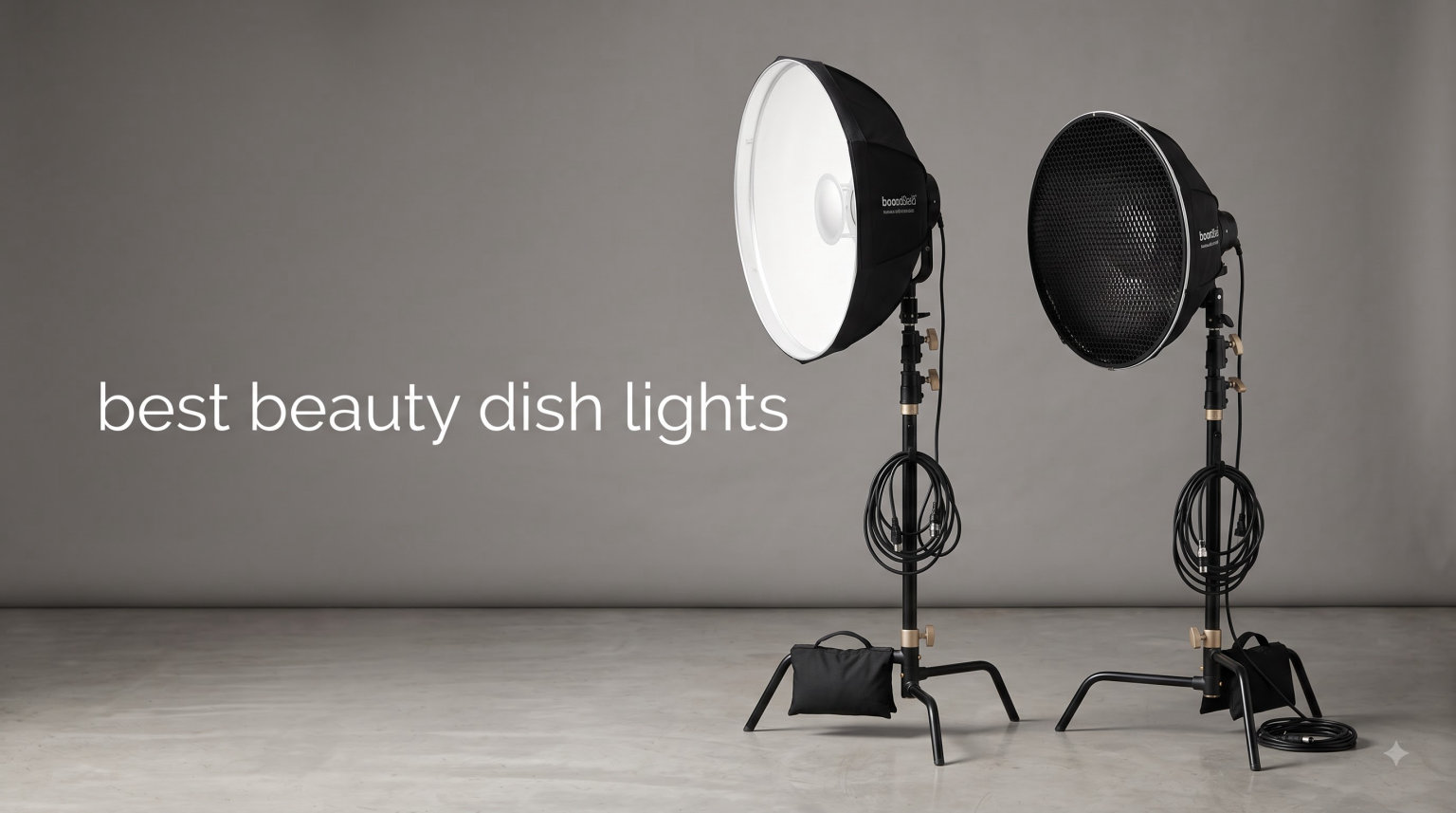 best beauty dish lights