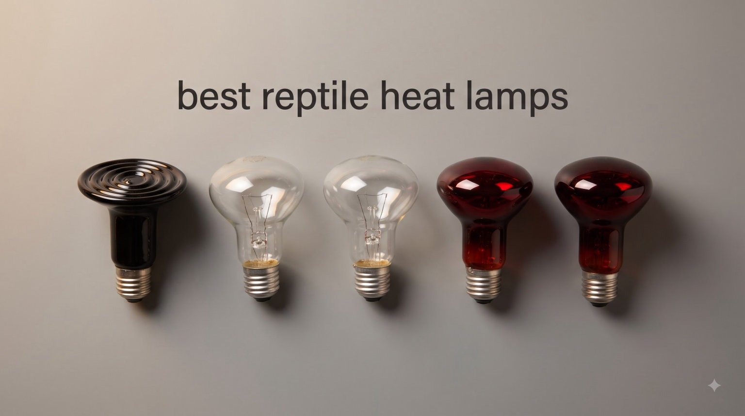best reptile heat lamps