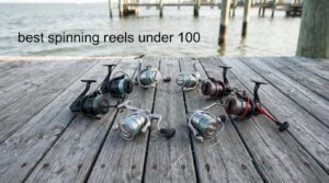 best spinning reels under 100