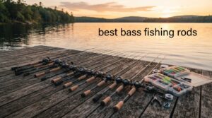 best bass fishing rods