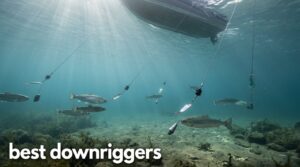 best downriggers