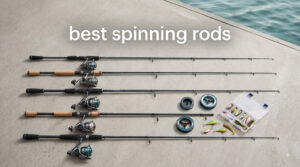 best spinning rods