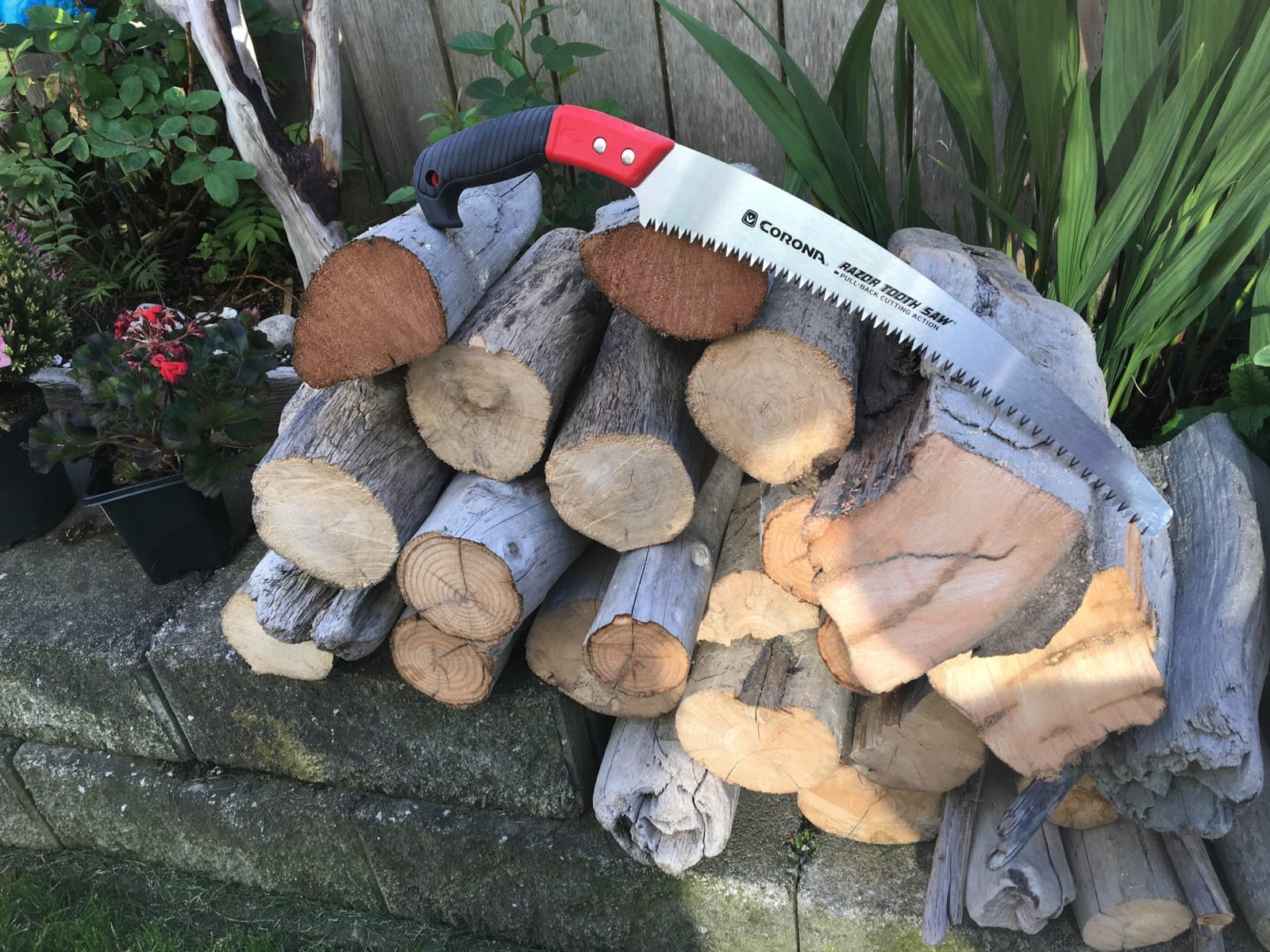 Corona Tools 13-Inch RazorTOOTH Pruning Saw | Tree Saw Designed for Single-Hand Use | Curved Blade Hand Saw | Cuts Branches up to 7