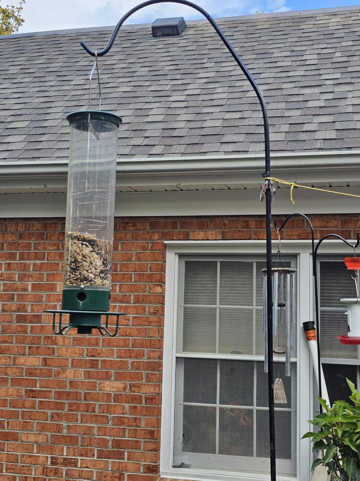 Droll Yankees Squirrel Proof Bird Feeder for Outdoors, 5 lb Seed Capacity customer photo 2