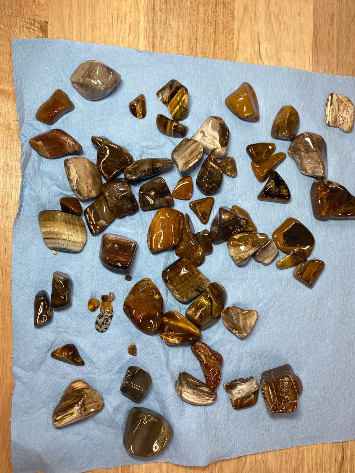 Thumler's Tumbler Rock Polisher customer photo 2