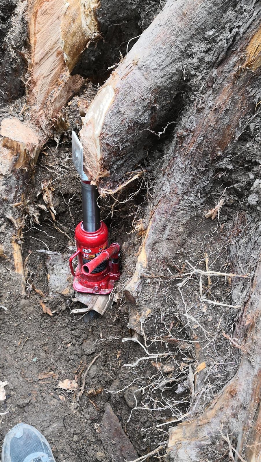 BIG RED T91203B Torin Hydraulic Welded Bottle Jack, 12 Ton (24,000 lb) Capacity, Red customer photo 2