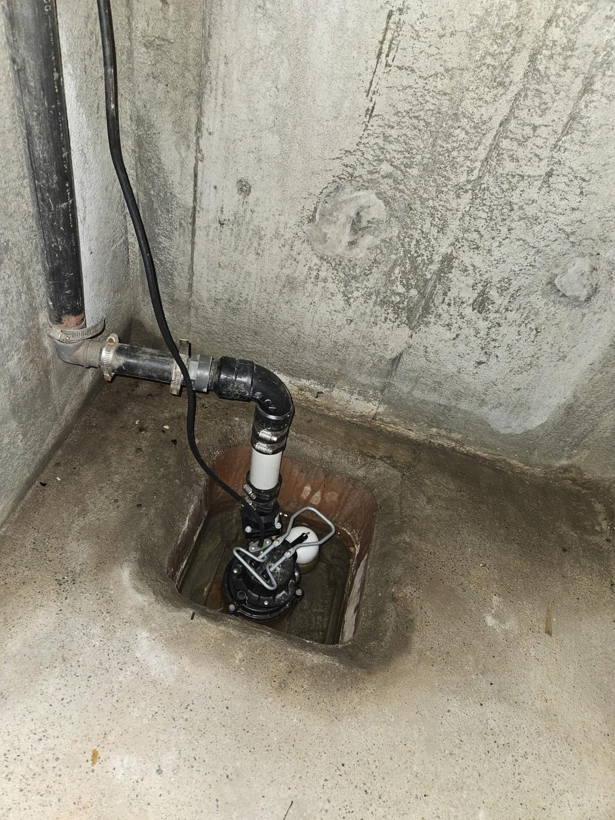 WAYNE CDU790 1/3 HP Submersible Water Pump, Heavy Duty Basement Sump Pump customer photo 1