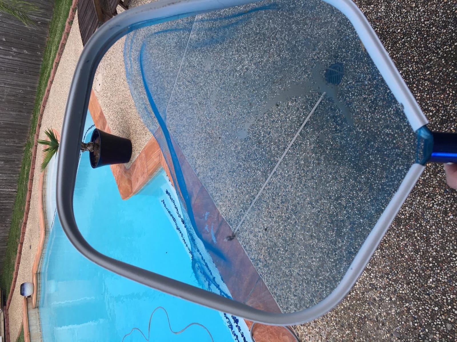 SWIMLINE | Pool Skimmer Net Head for Leaves and Debris | Premium Aluminum customer photo 1