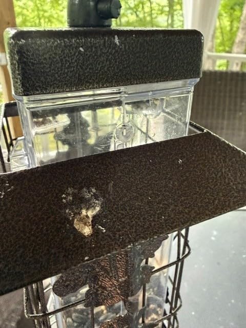 Perky-Pet Squirrel-Be-Gone Bird Feeder, 2 lb Seed Capacity customer photo 1