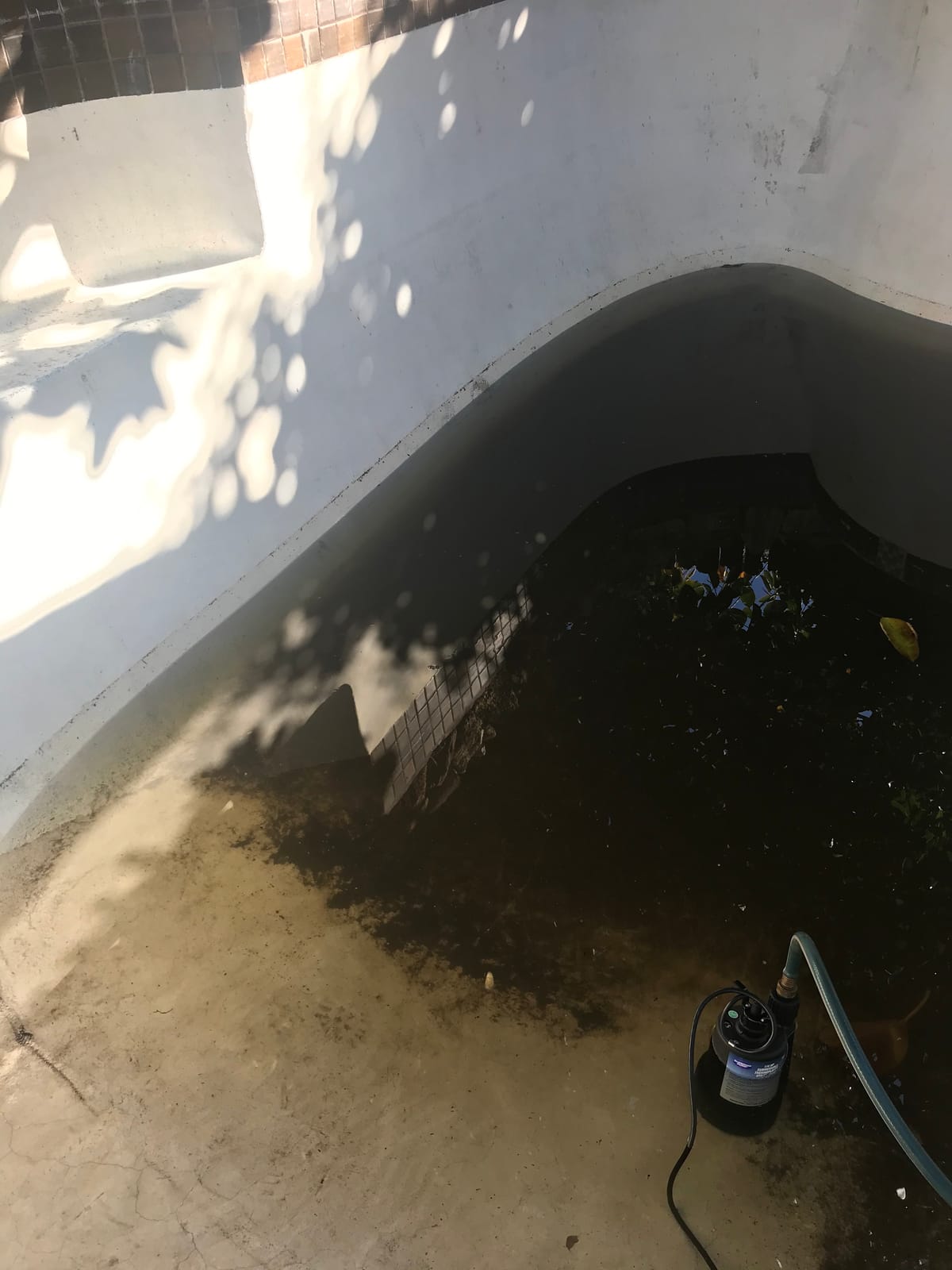 Superior Pump 91250 1800GPH Thermoplastic Submersible Utility Pump with 10-Foot Cord, 1/4 HP customer photo 1