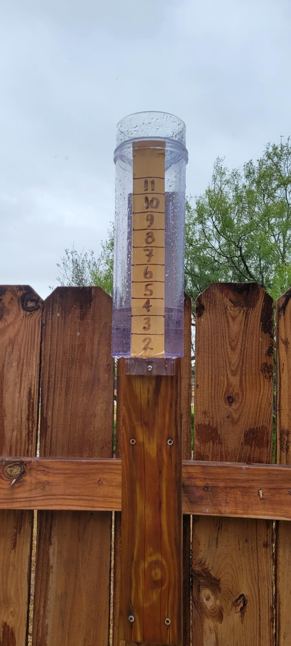 FUAUFAS KEXMY Rg202 Stratus Long Term Professional Rain and Snow Gauge customer photo 2