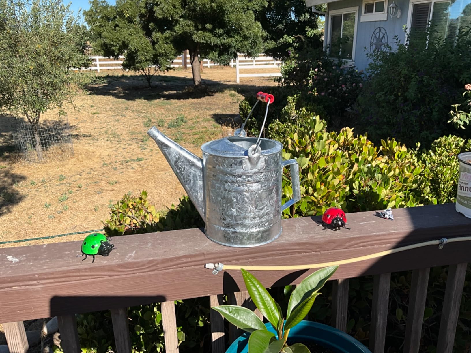 Behrens Weatherproof Hot Dipped Galvanized Steel Watering Can with Wooden Handle and Side Handle for Watering Flowers and Gardens, Gray. customer photo 2
