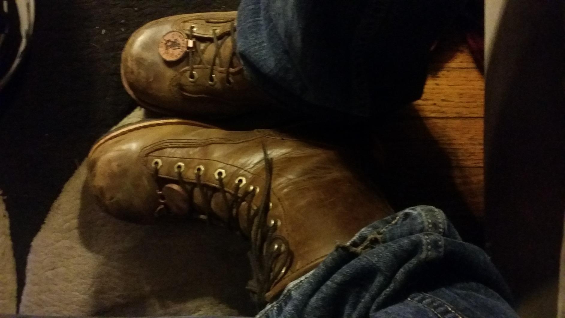 Chippewa Paladin 8