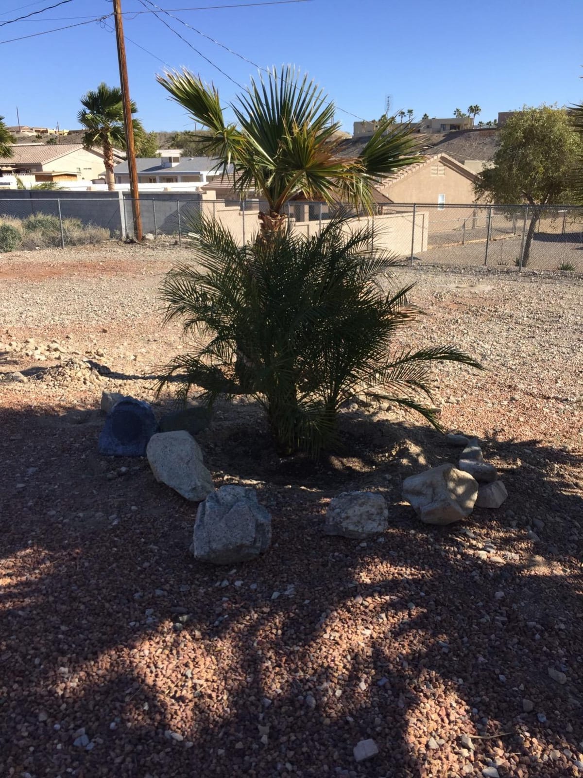 Theater Solutions 2R8G Outdoor Granite 8